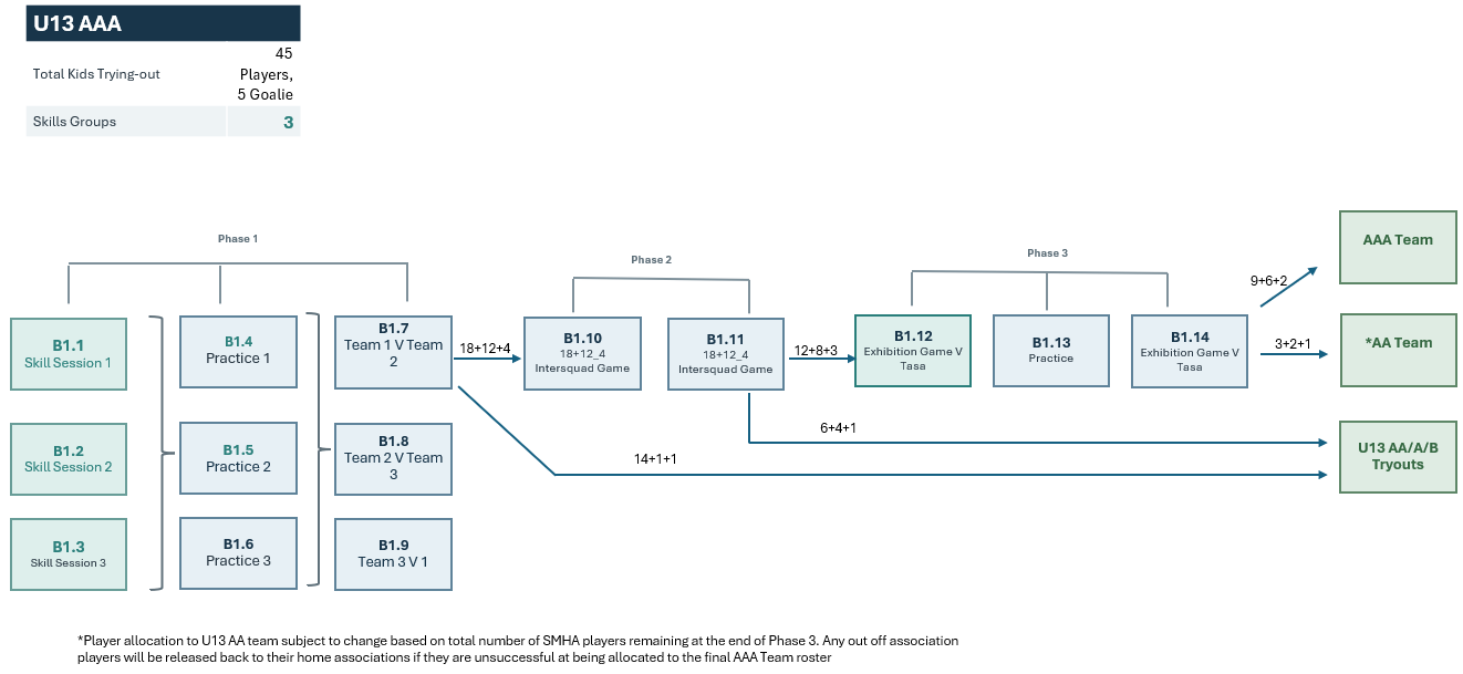 AAA Flowchart